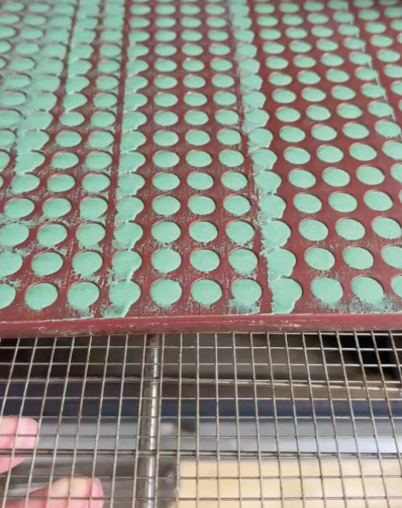 Bakproces Spirulina Spark treats geheugen weerstand hart vitamine c spirulina tabletten vitaminen en mineralen immuunsysteem dragen
